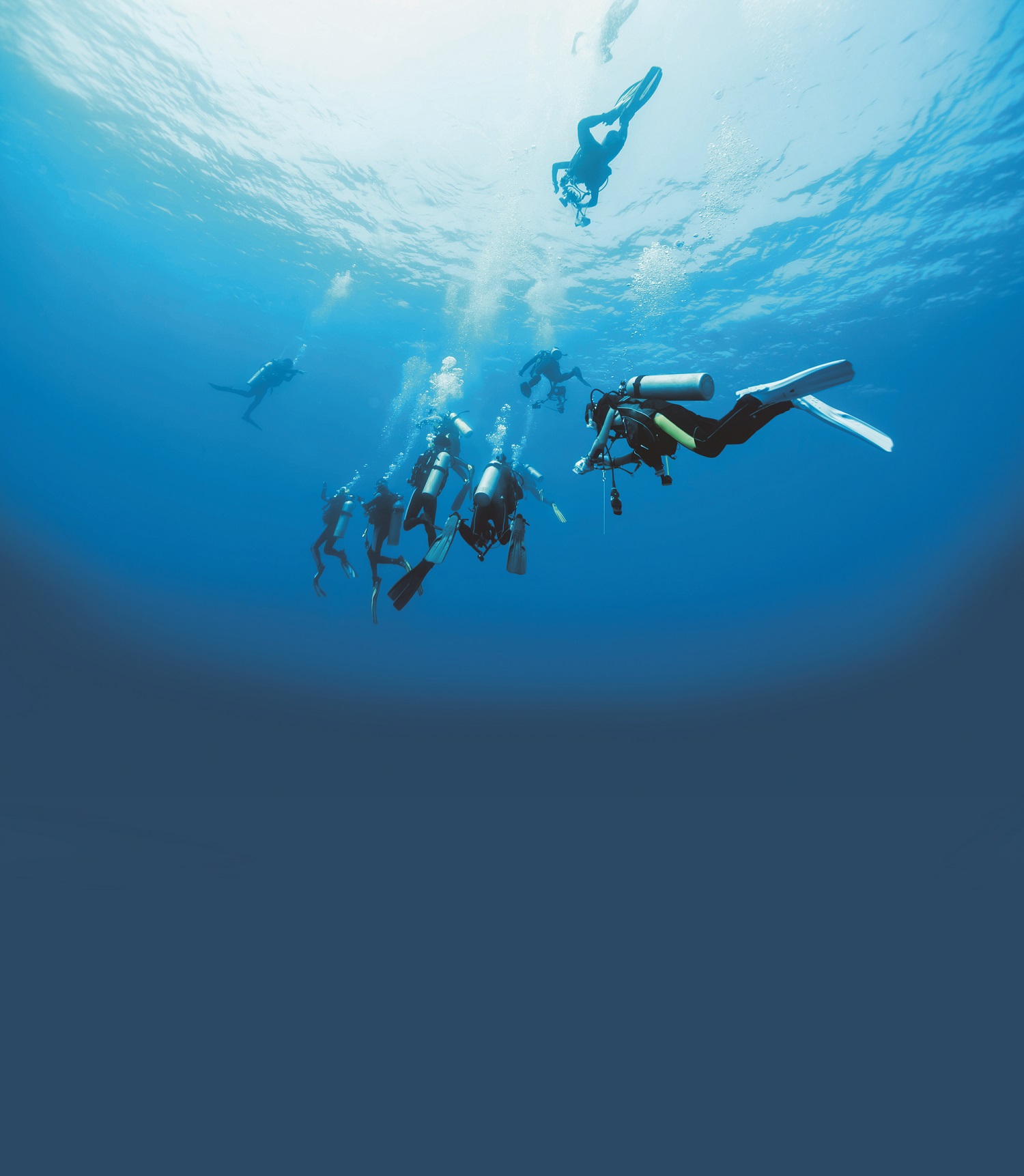 Illustration palanquée plongée retour surface