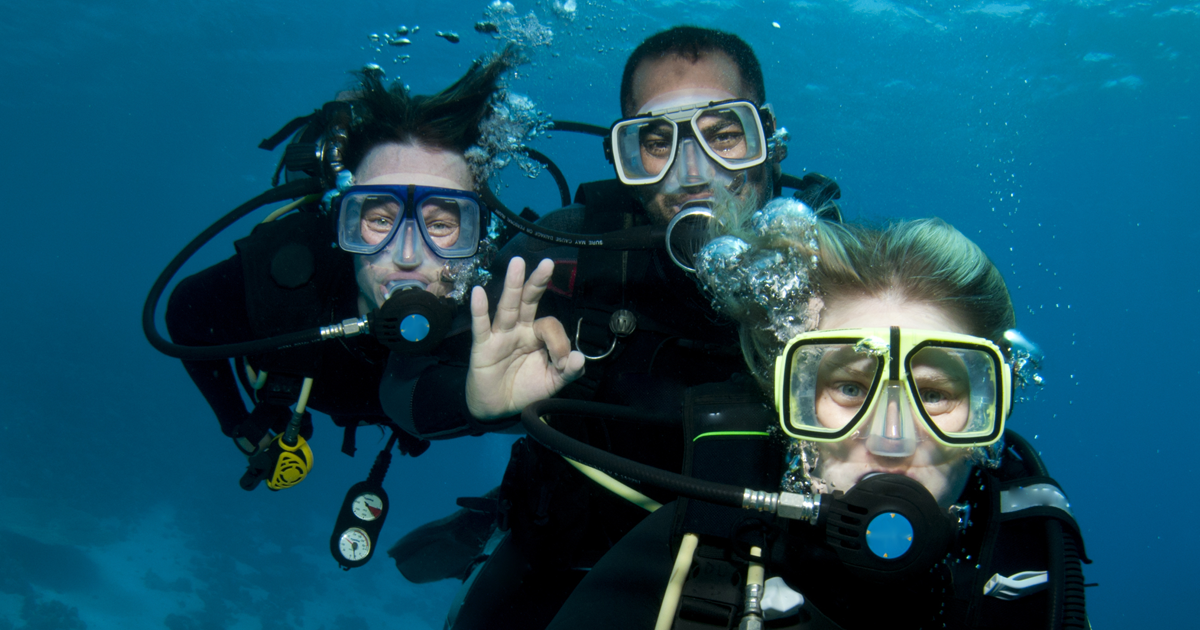 image réseaux sociaux à la découverte de la plongée sous-marine