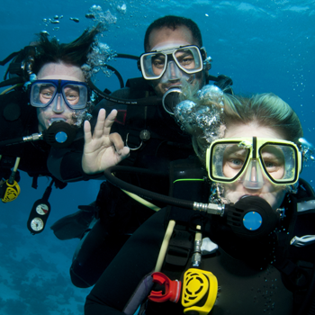 image listing à la découverte de la plongée sous-marine